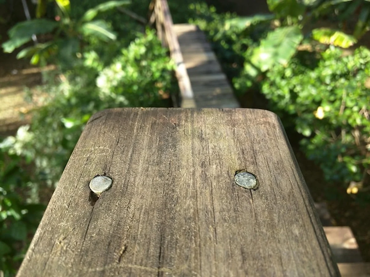 Zbliżenie drewnianych drzwi