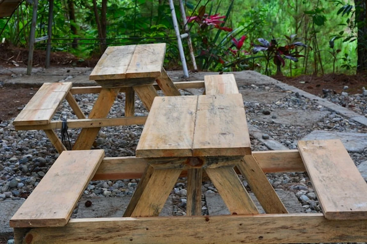 Prosty dom w naturalnym lesie